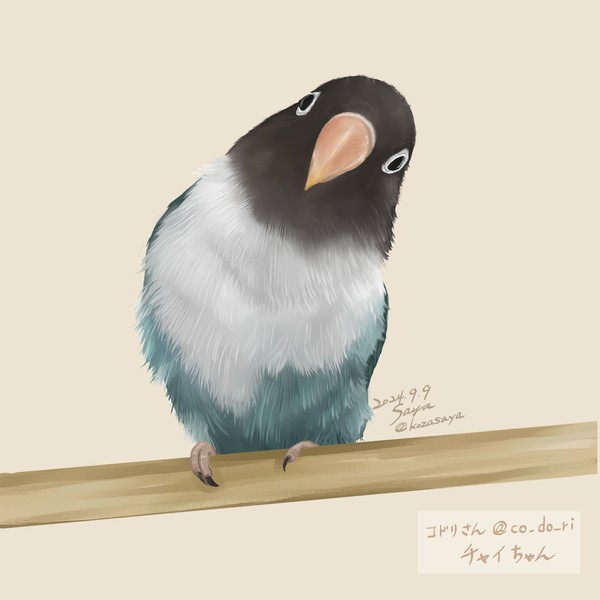 チャイちゃん