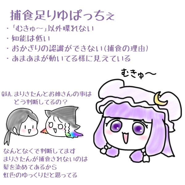 足りゆぱっちぇについて
