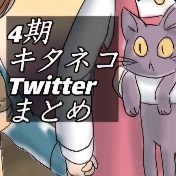 4期キタネコTwitterまとめ2