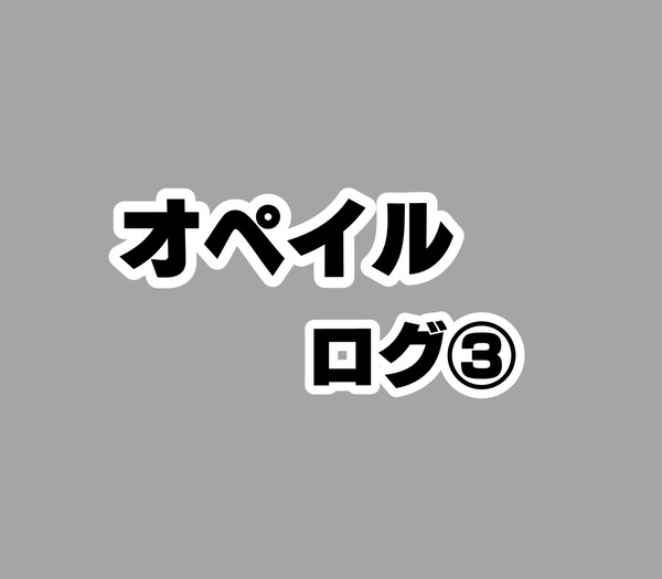 オペイルまとめ3