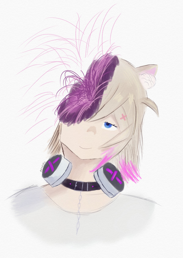 MOCOCO