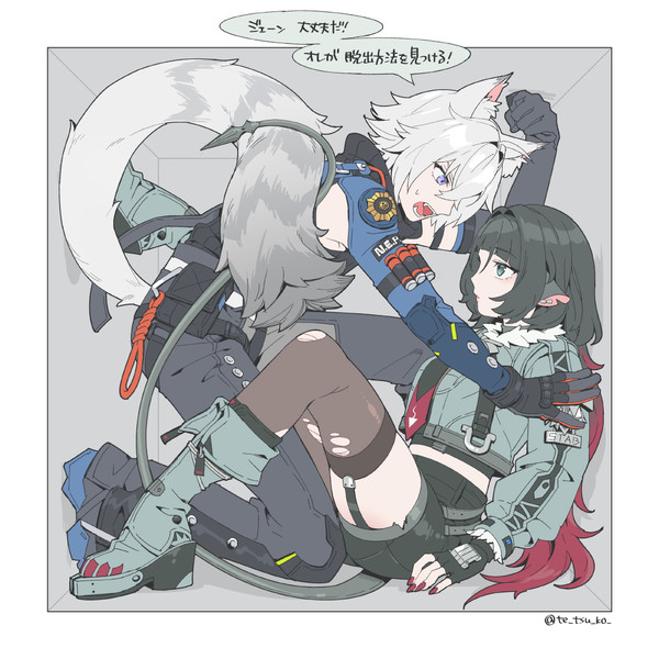 セスジェン 箱に詰めてみた