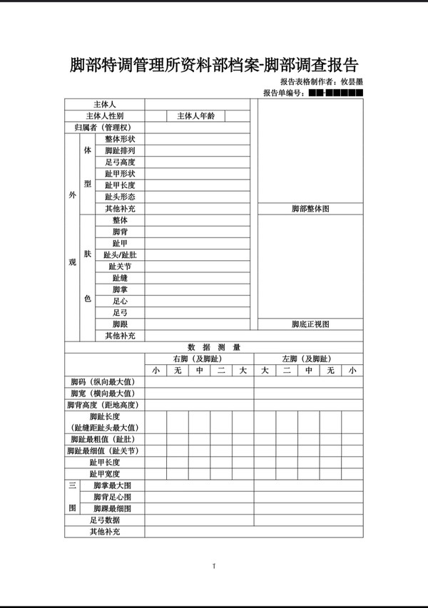 脚部调查报告填写表