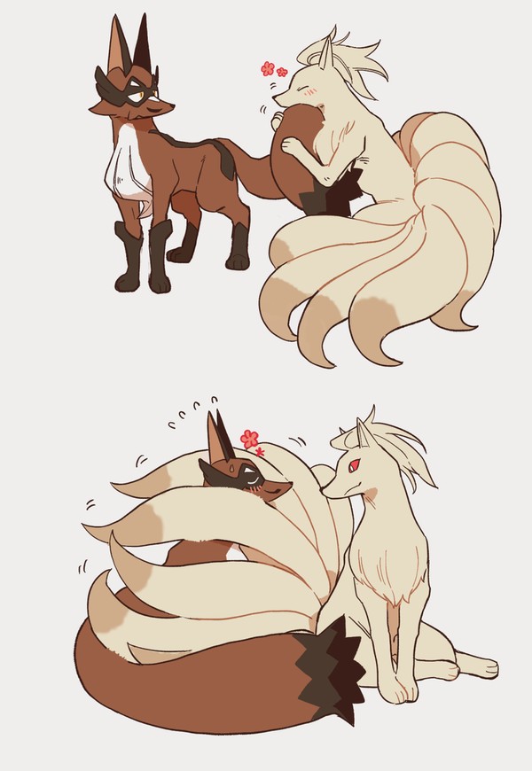 🦊🦊