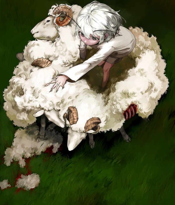 羊の船