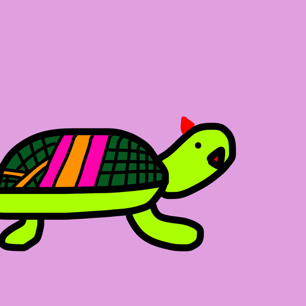 カメとメラのマリアージュ=カメラ🐢