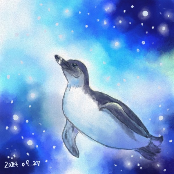 ケープペンギンさん