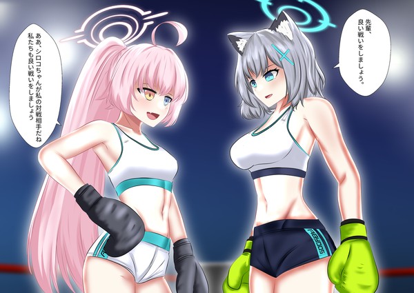 (Comm.) 小鳥遊 ホシノ vs 砂狼シロコ