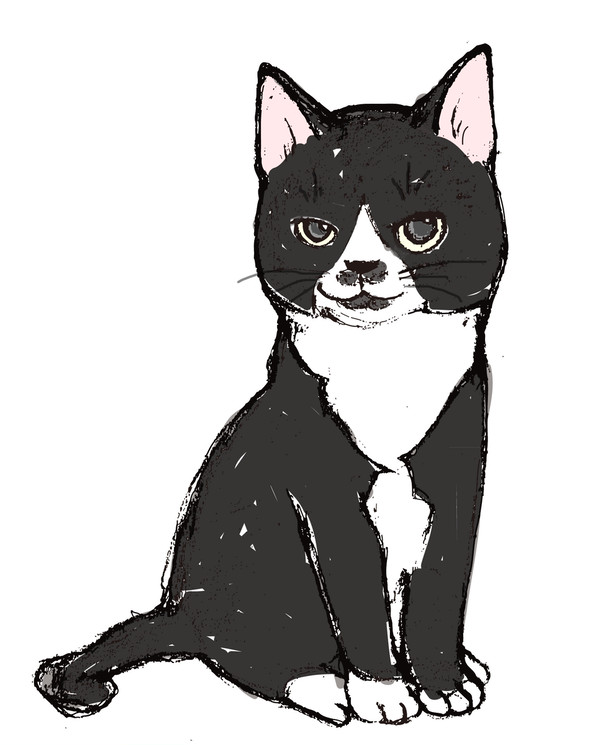 おひげ猫チャップ