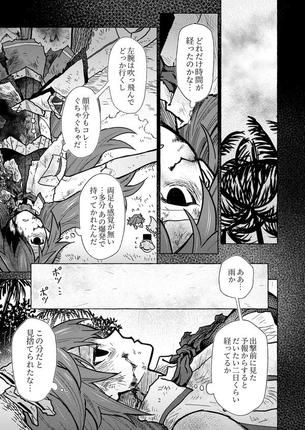 フェニックス捜索