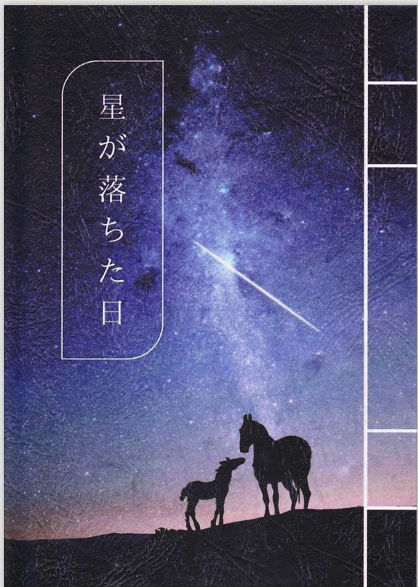 【Web再録】星が落ちた日