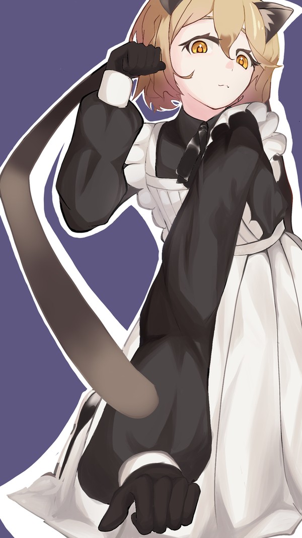 TTcat