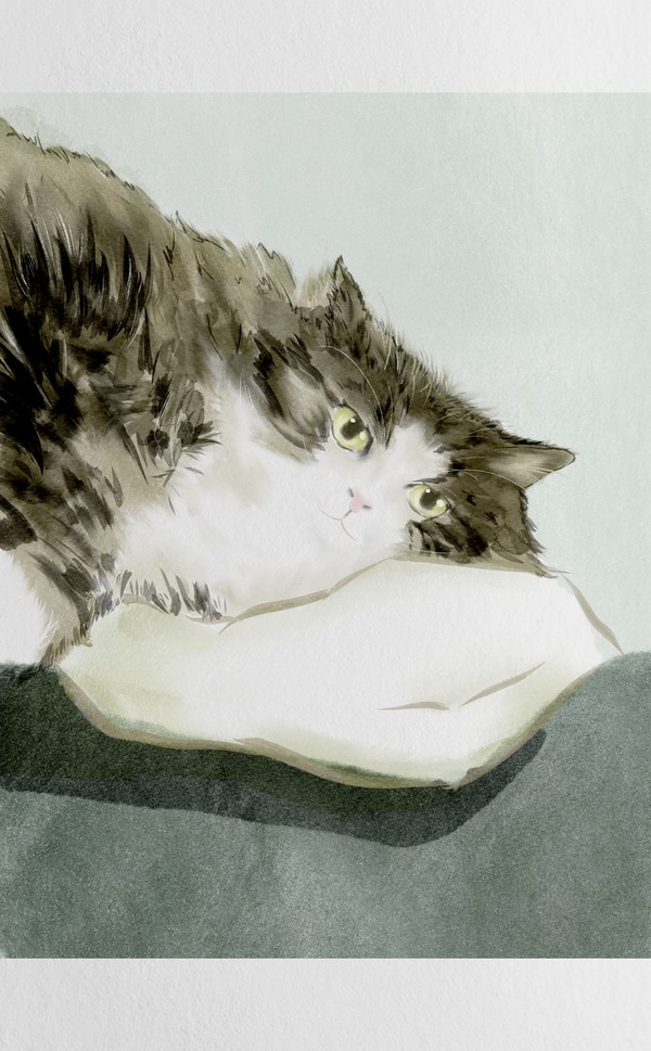 最近の動物絵
