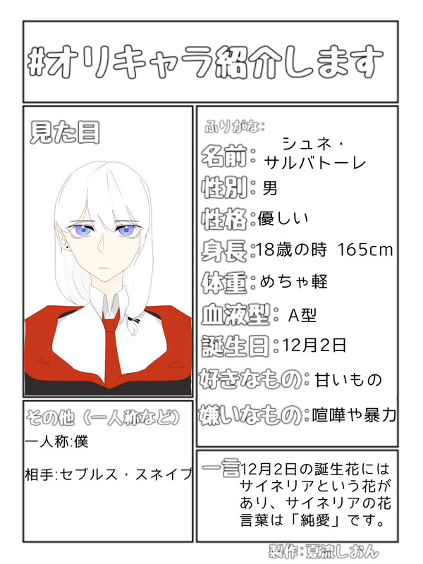 小説「英雄と同級生」の夢主紹介