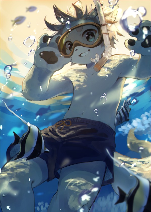 夏の絵たち