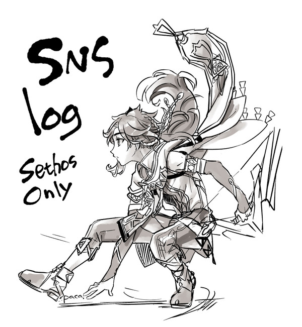 SNSlog