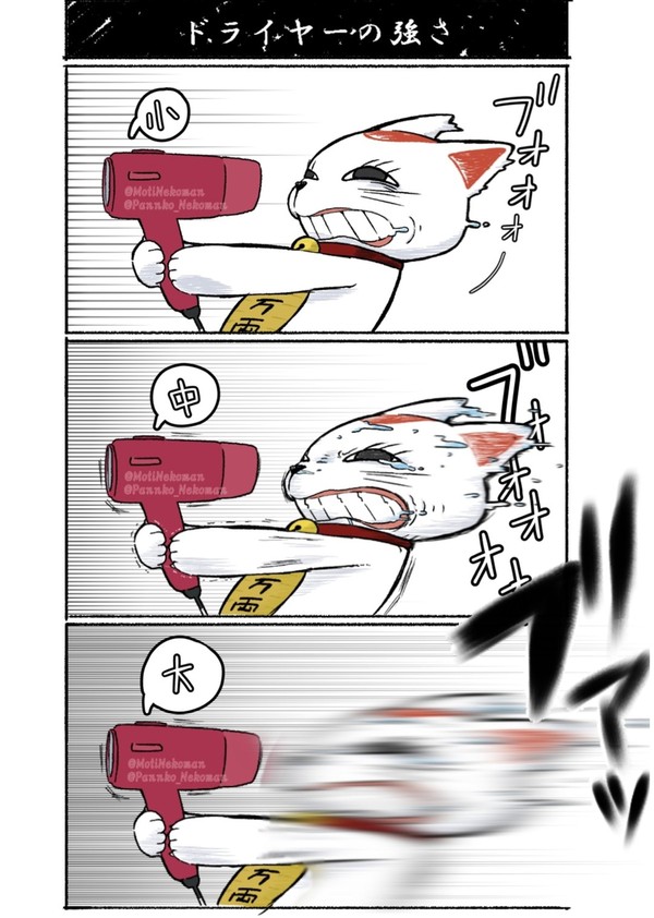 ドライヤーの強さ💨