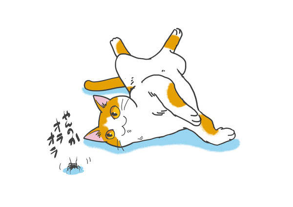 ゴングが鳴る