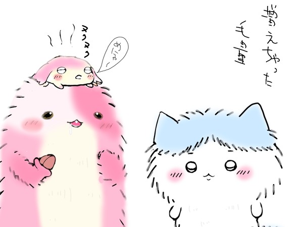 毛量増えたハチワレちゃんとマアアさん