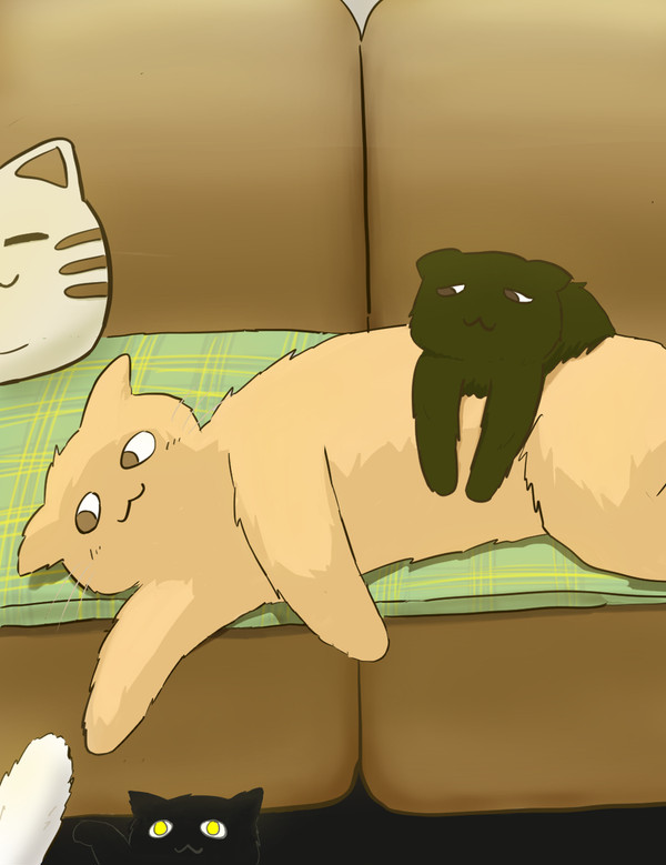 ねこねこねこ　ね