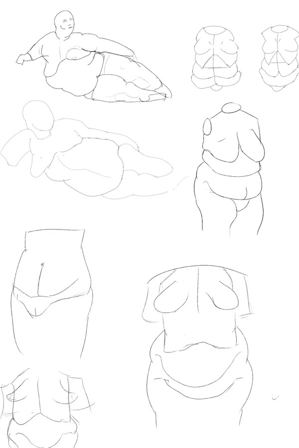 Anatomy Practice 10-24-24