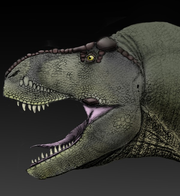 Tyrannosaurus rex