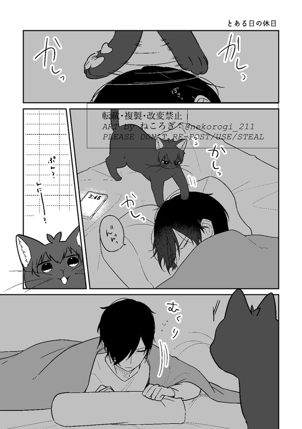 itsさんちのyicねこ