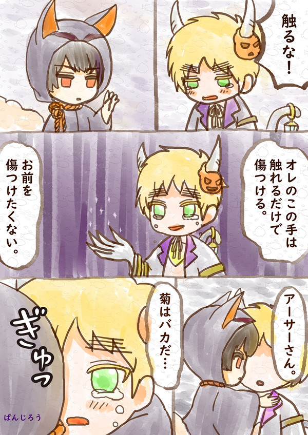 フラハロ朝菊