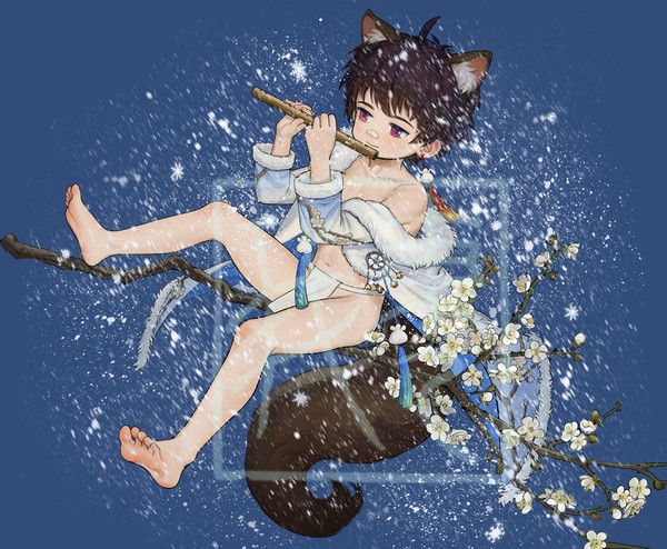 松鼠Ⅱ