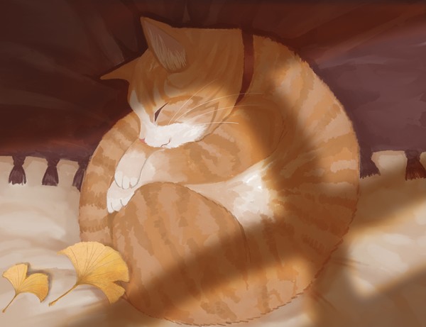 秋の日向ぼっこ