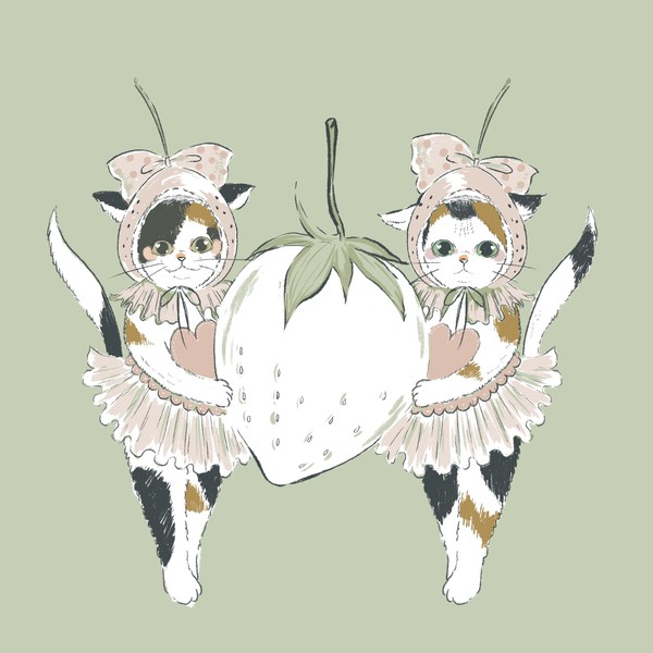 三毛猫シスターズと白イチゴ