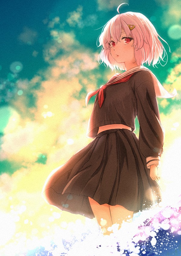 海