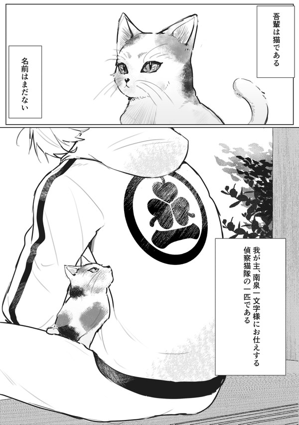 とある偵察隊の猫