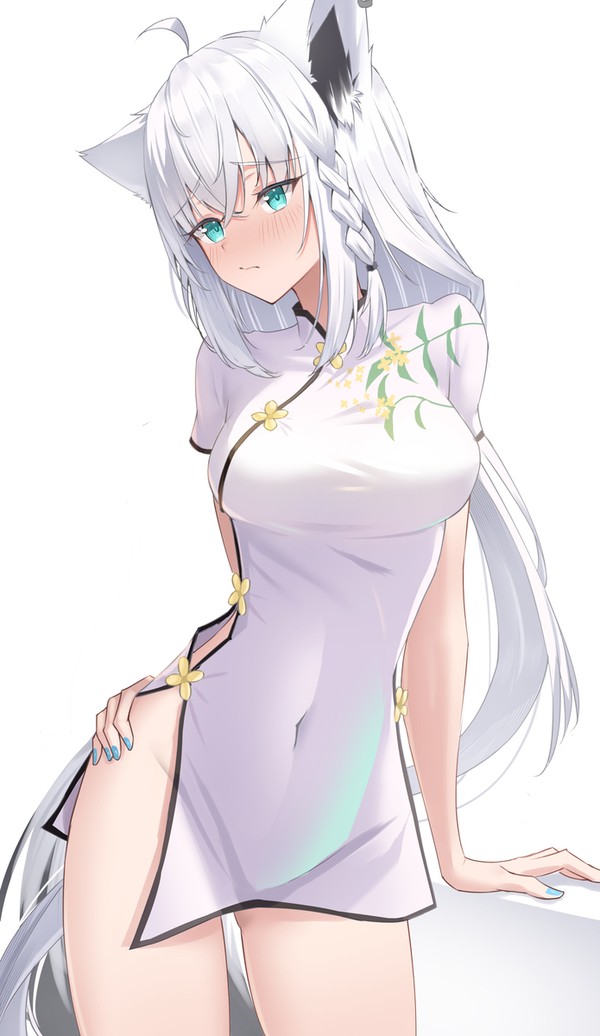 フブちゃんに着てもらった