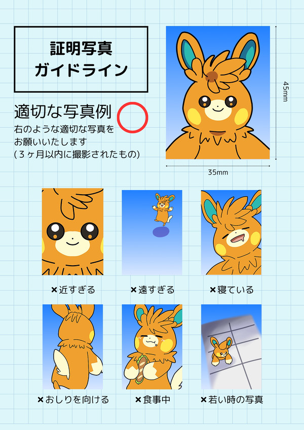 パーモットさんの証明写真ガイドライン