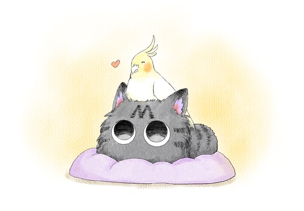 オカメインコ審神者 ~ふわふわとひらひら・オマケ~