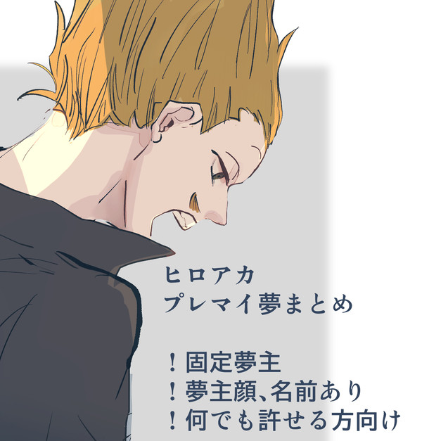 夢アカlog1