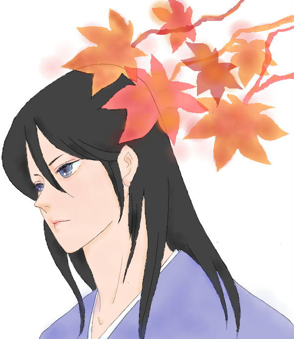 紅葉照る