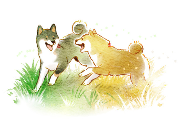 徒然の柴漬け