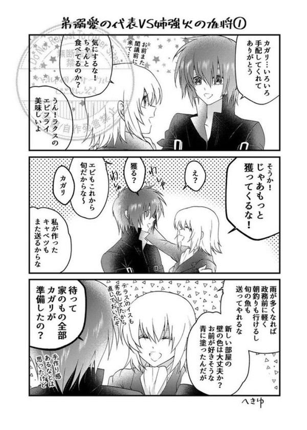 弟溺愛の代表VS姉強火の准将