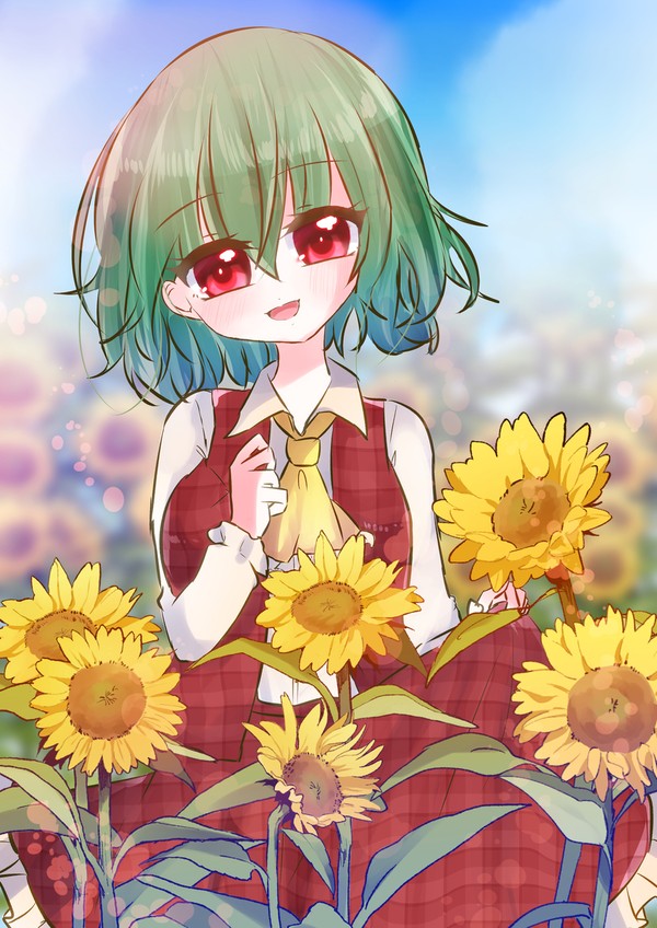 向日葵と幽香さん