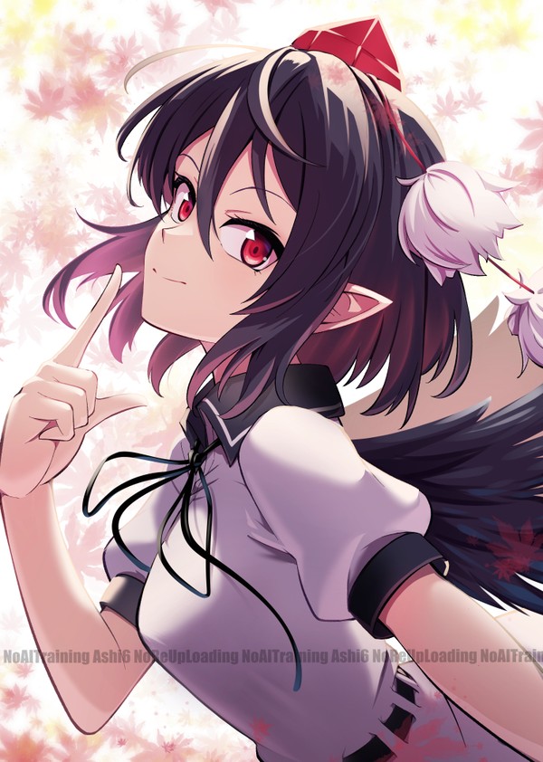 射命丸ですよ