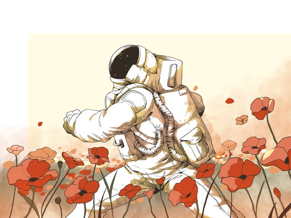 アネモネの花畑 - 1/1