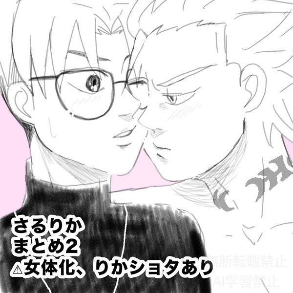 さるりかまとめ2