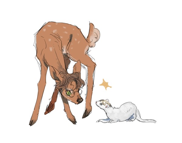 ドラハリ