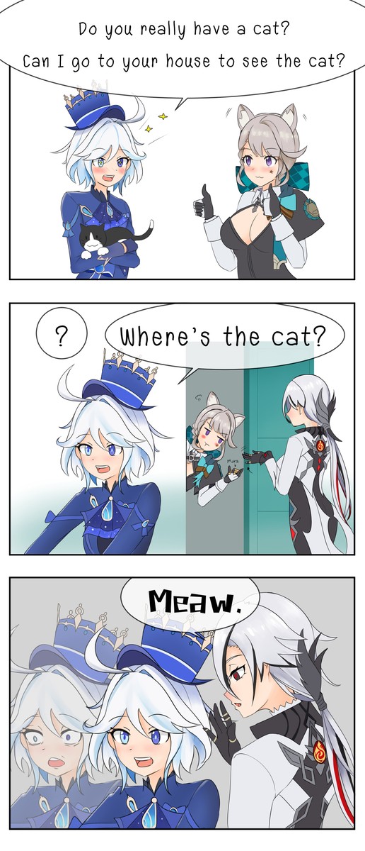 where's the cat ?