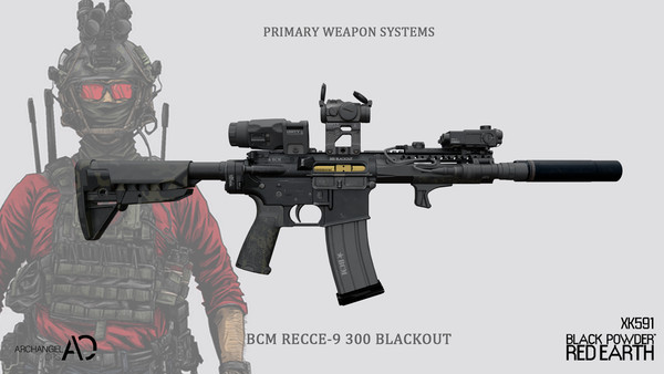 BCM AR
