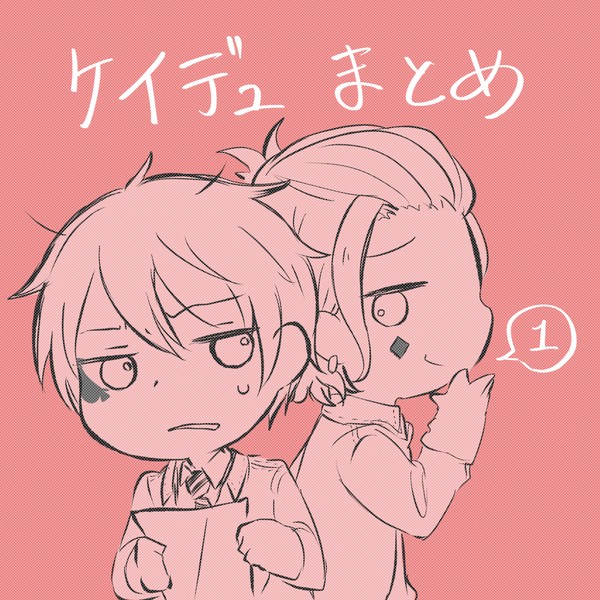 ケイデュまとめ①