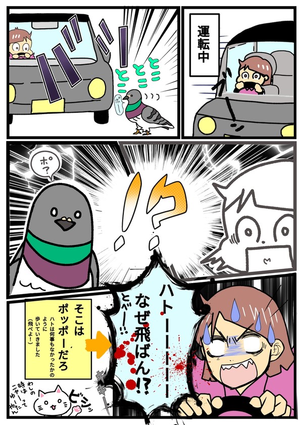 飛ばねえハトは、ただのハトだ