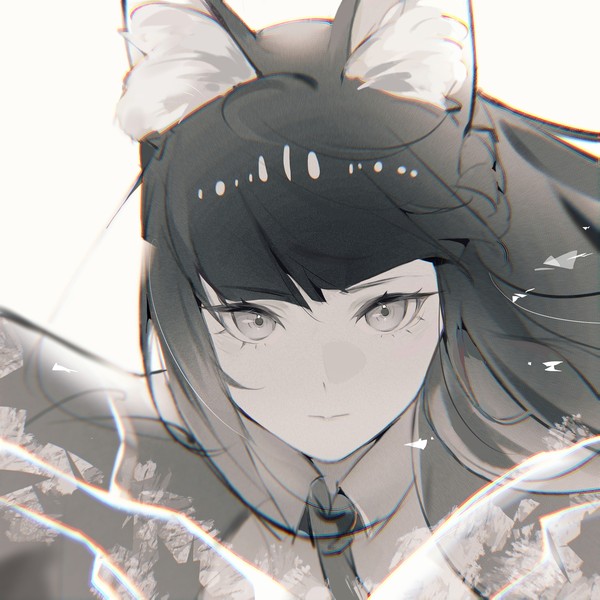 画了雅
